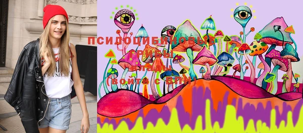 стафф Верхний Тагил